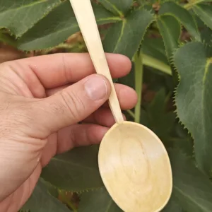 Eetlepel 003