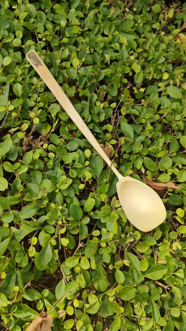 Kooklepel 001